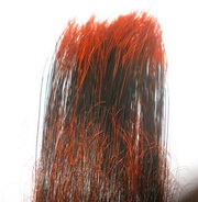 ����� ������ ������� � ���������� ���������